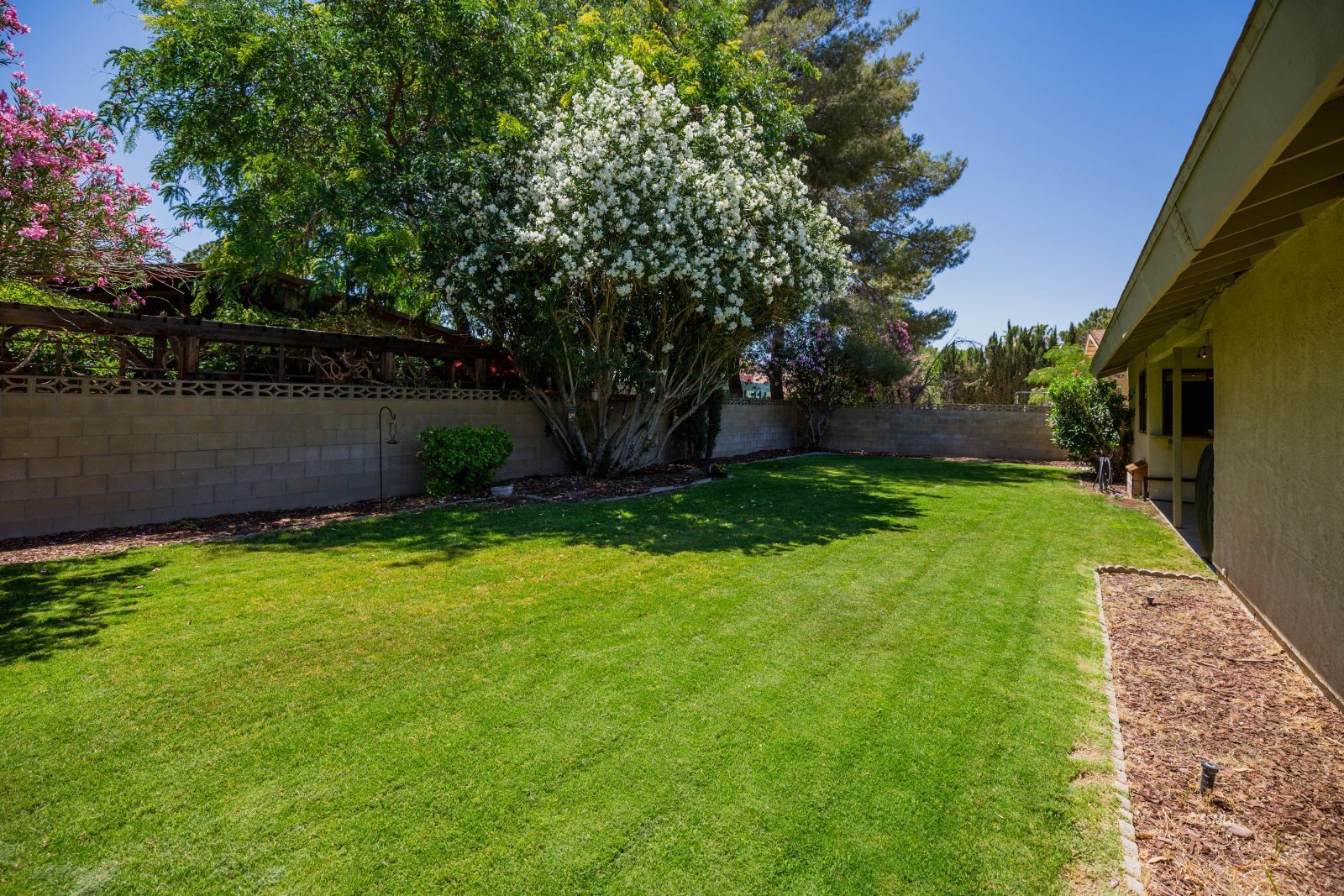 1012 Scott Street Ridgecrest, CA 93555 - Photo 30 of 31 a view of a backyard