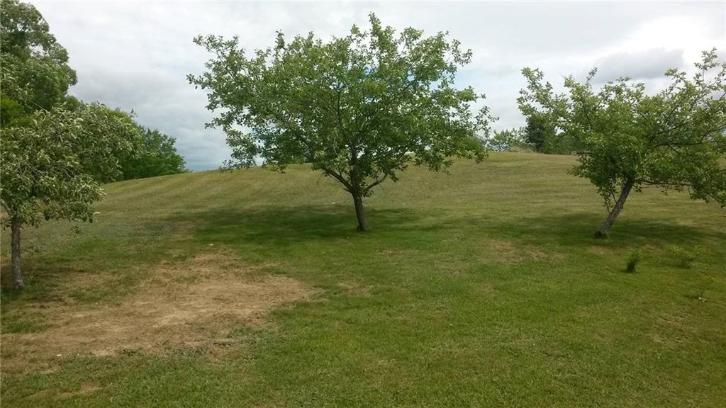 24 South Road South China, ME 04358 - Photo 25 of 27 FRUIT TREES