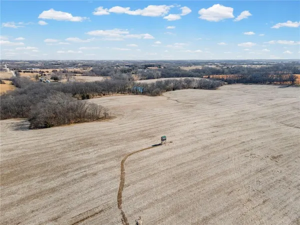 $1,050,000 | 3919 Southwest State Rte T, Polo, MO 64671