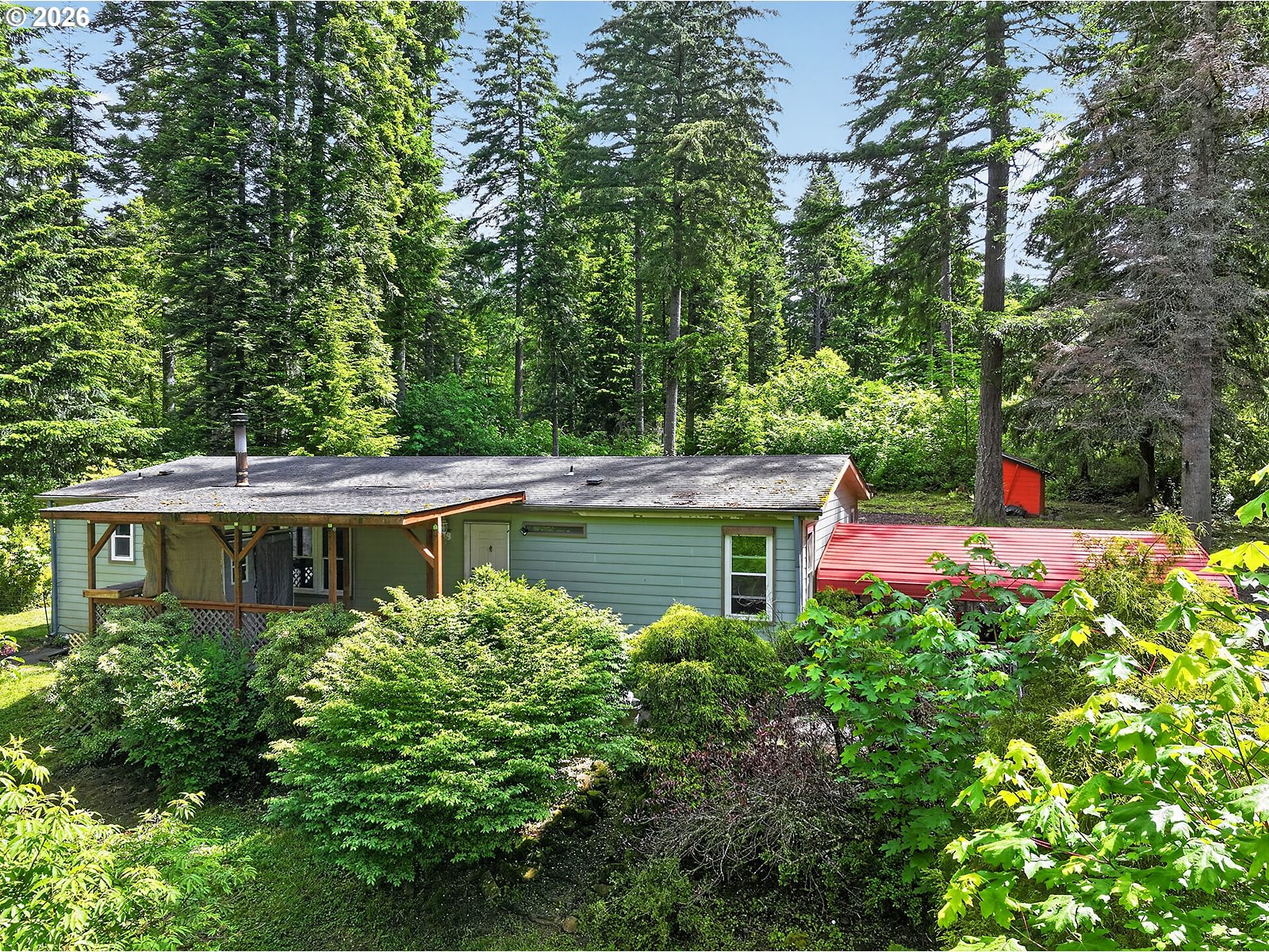 142 Spring Lane South Stevenson, WA 98648 - Photo 19 of 29 a backyard with potted plants and a large tree