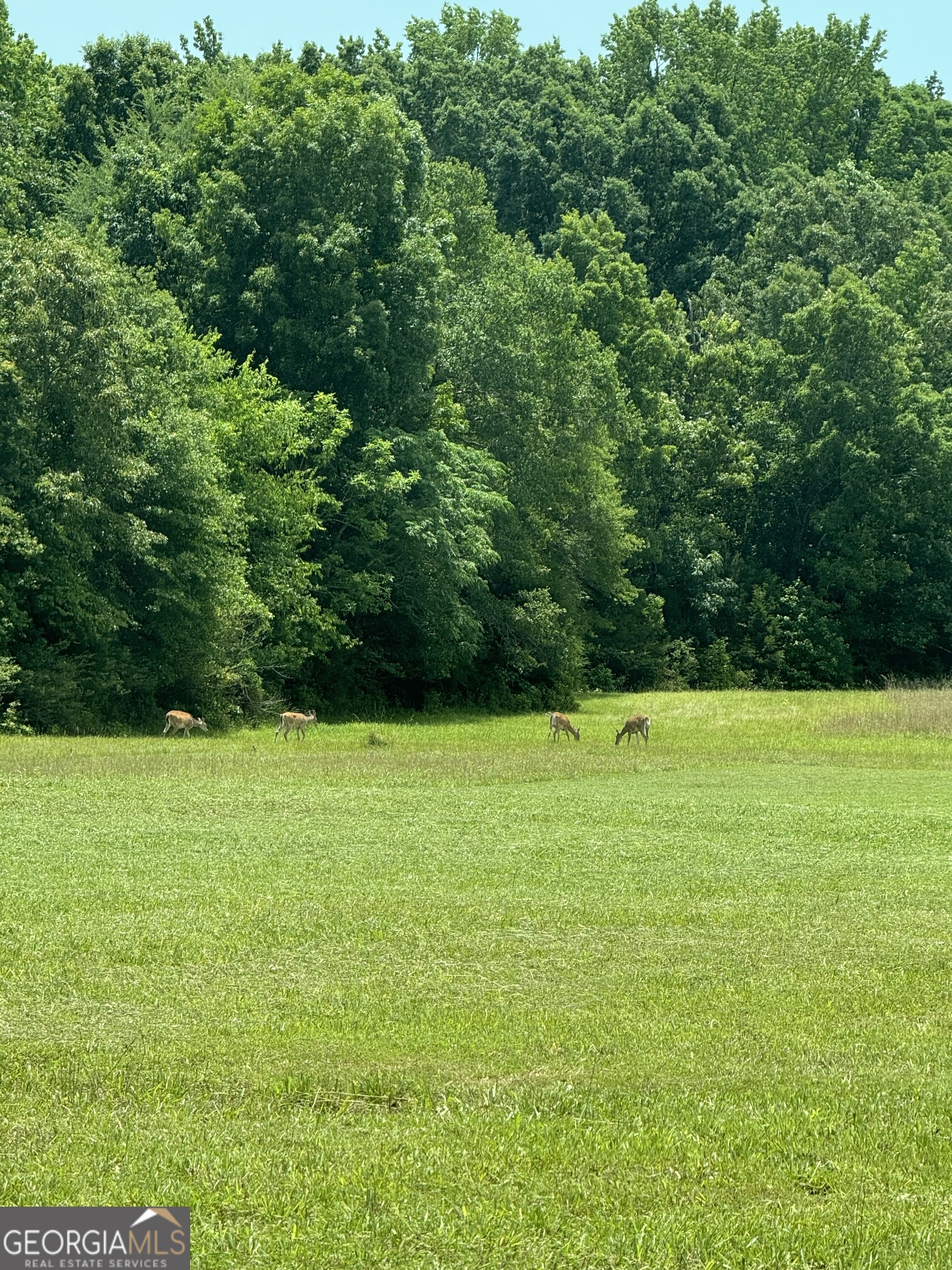 70 McDonald Road Covington, GA 30014 - Photo 76 of 84