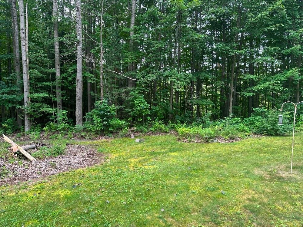 7894 Springwood Lake Road Harrison, MI 48625 - Photo 29 of 29 Gallery Image 29
