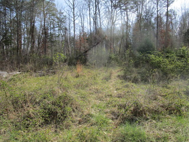 306 Chartier Lane Bean Station, TN 37708 - Photo 4 of 6 IMG_1479