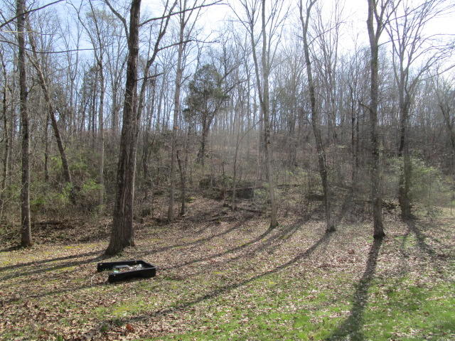 306 Chartier Lane Bean Station, TN 37708 - Photo 6 of 6 IMG_1480