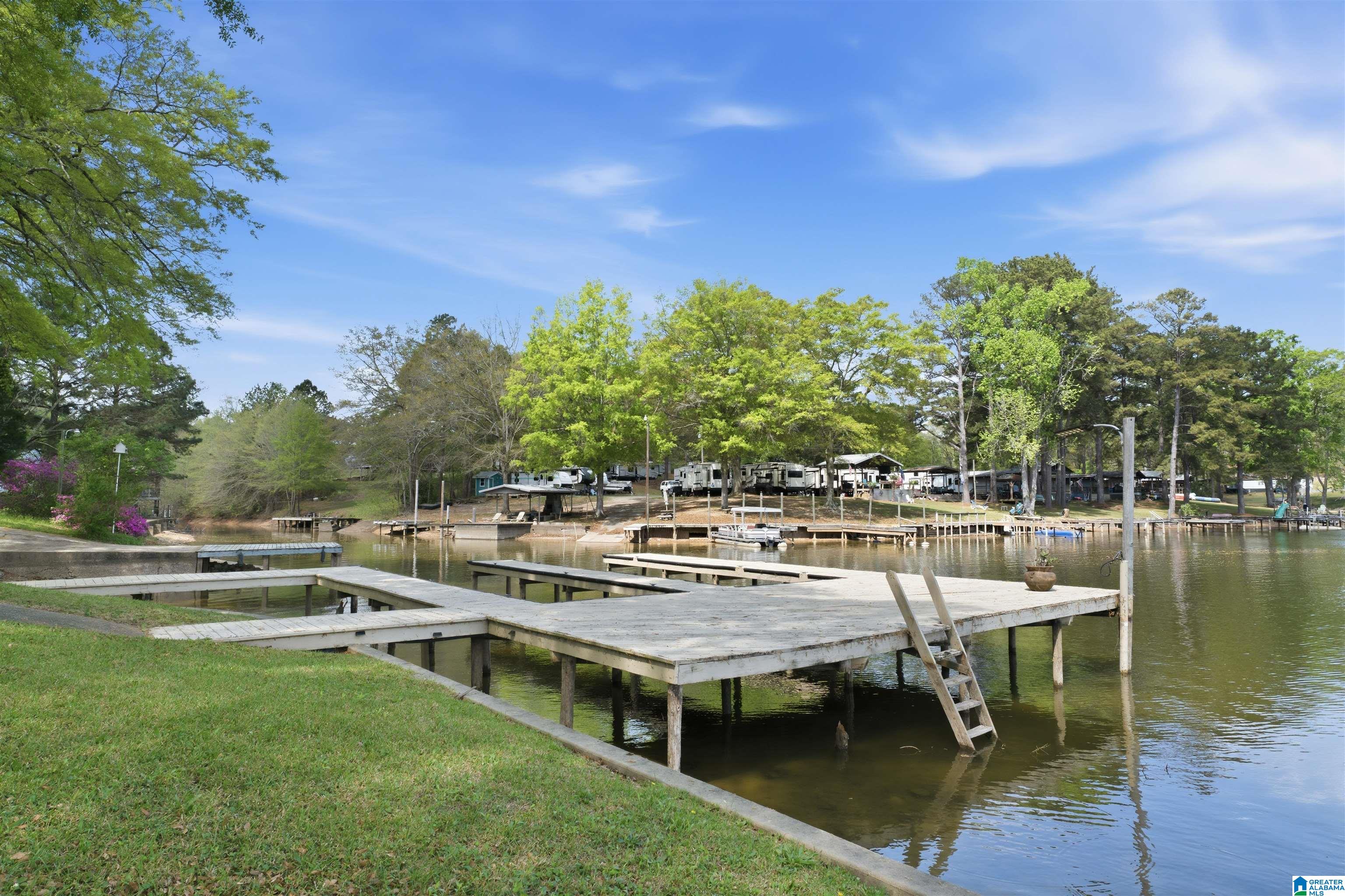 509 Coosa Island Road Cropwell, AL 35054 - Photo 33 of 52