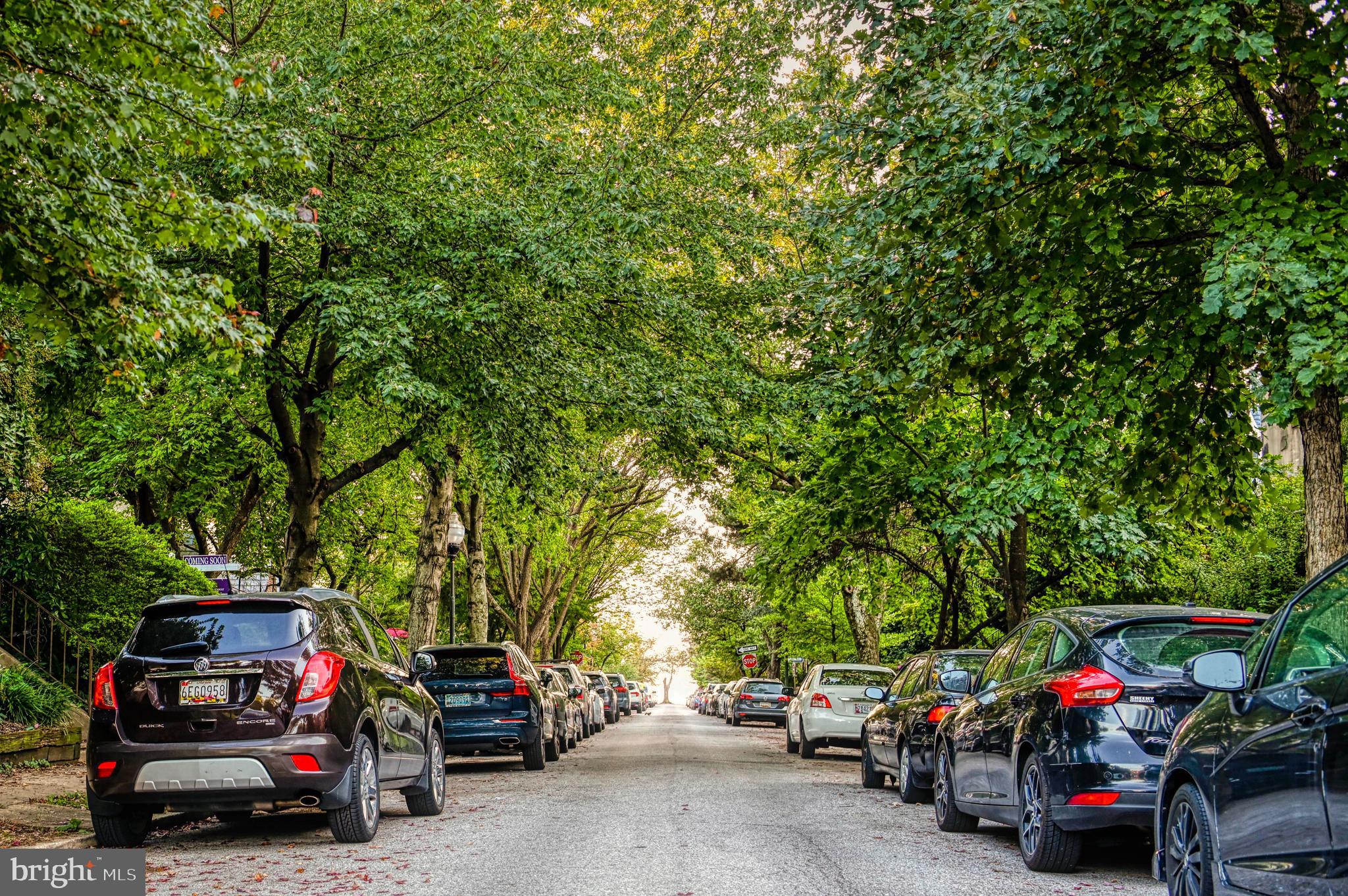 3727 Rexmere Road Baltimore, MD 21218 - Photo 50 of 56 A stunning canopy of mature trees...
