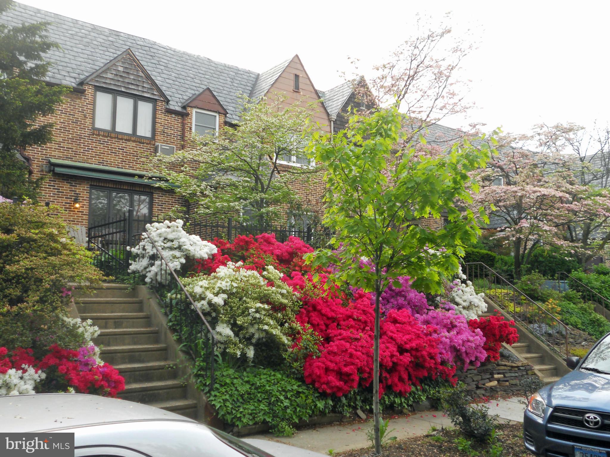 3727 Rexmere Road Baltimore, MD 21218 - Photo 51 of 56 Notorious azaleas that line the streets of EG...