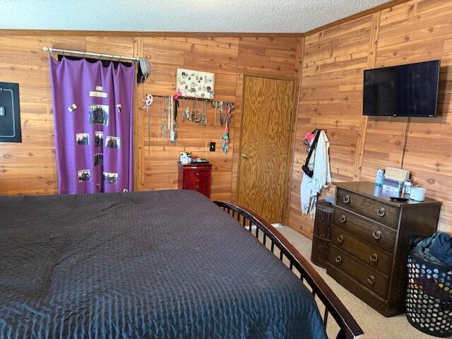 5570 East Stanton Road Stanton, MI 48888 - Photo 24 of 38 IMG_1402 (4)