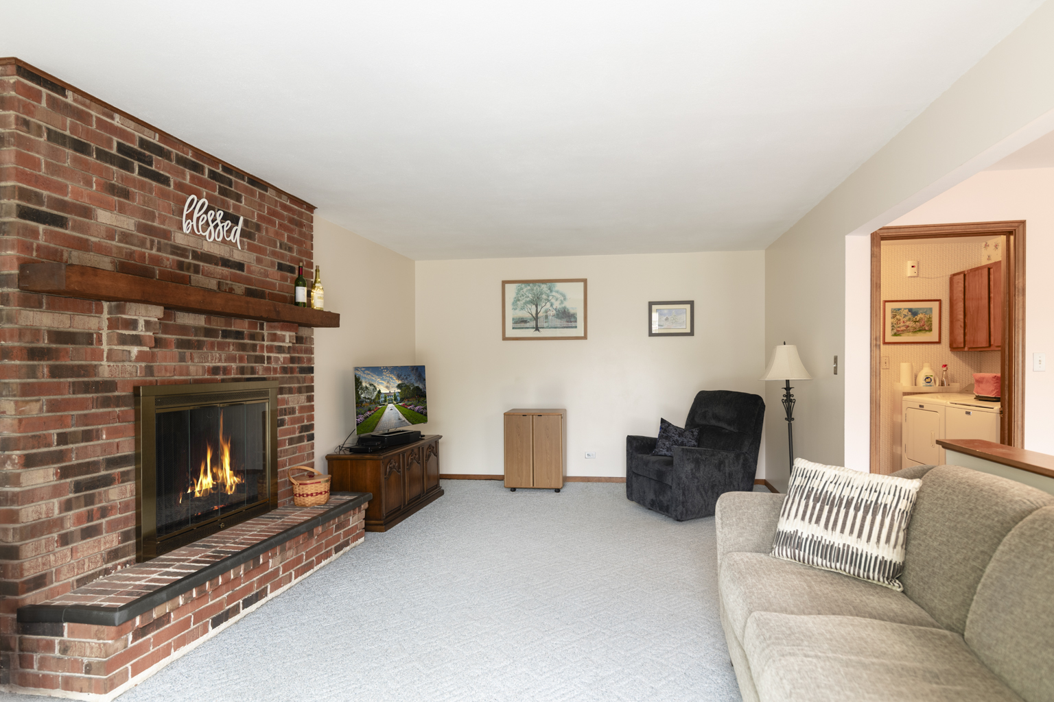 1494 Applegate Drive Naperville, IL 60565 - Photo 13 of 35 a living room with furniture and a fireplace