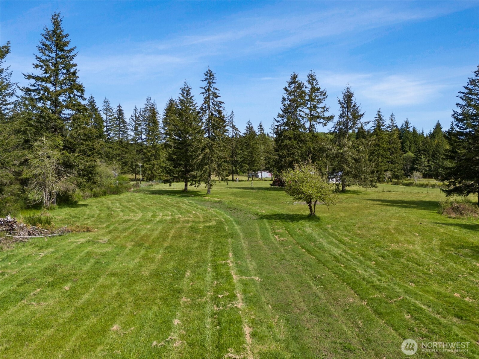 1982 West Ford Loop Road Elma, WA 98541 - Photo 1 of 15 a view of a golf course with a trees