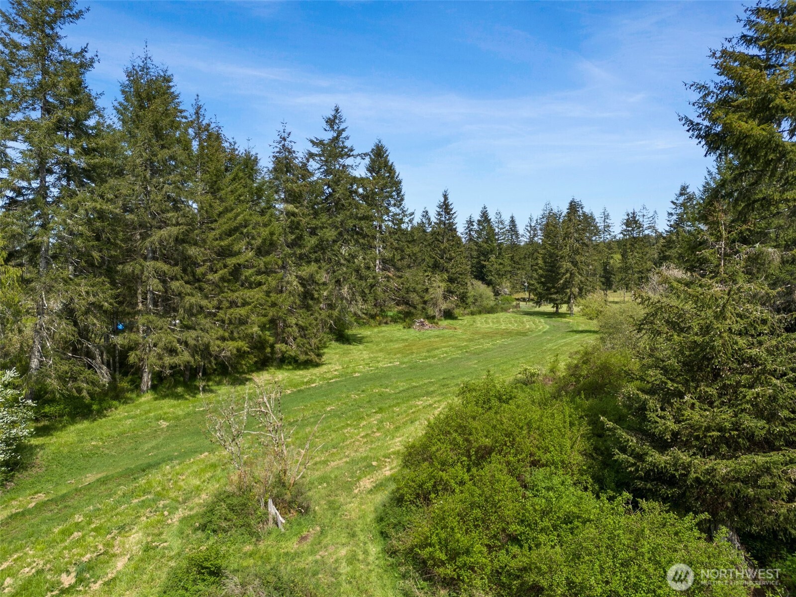 1982 West Ford Loop Road Elma, WA 98541 - Photo 12 of 15 a view of a green field with lots of bushes
