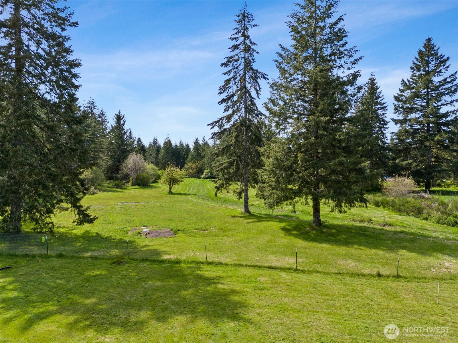1982 West Ford Loop Road Elma, WA 98541 - Photo 14 of 15 a view of field with grass and trees