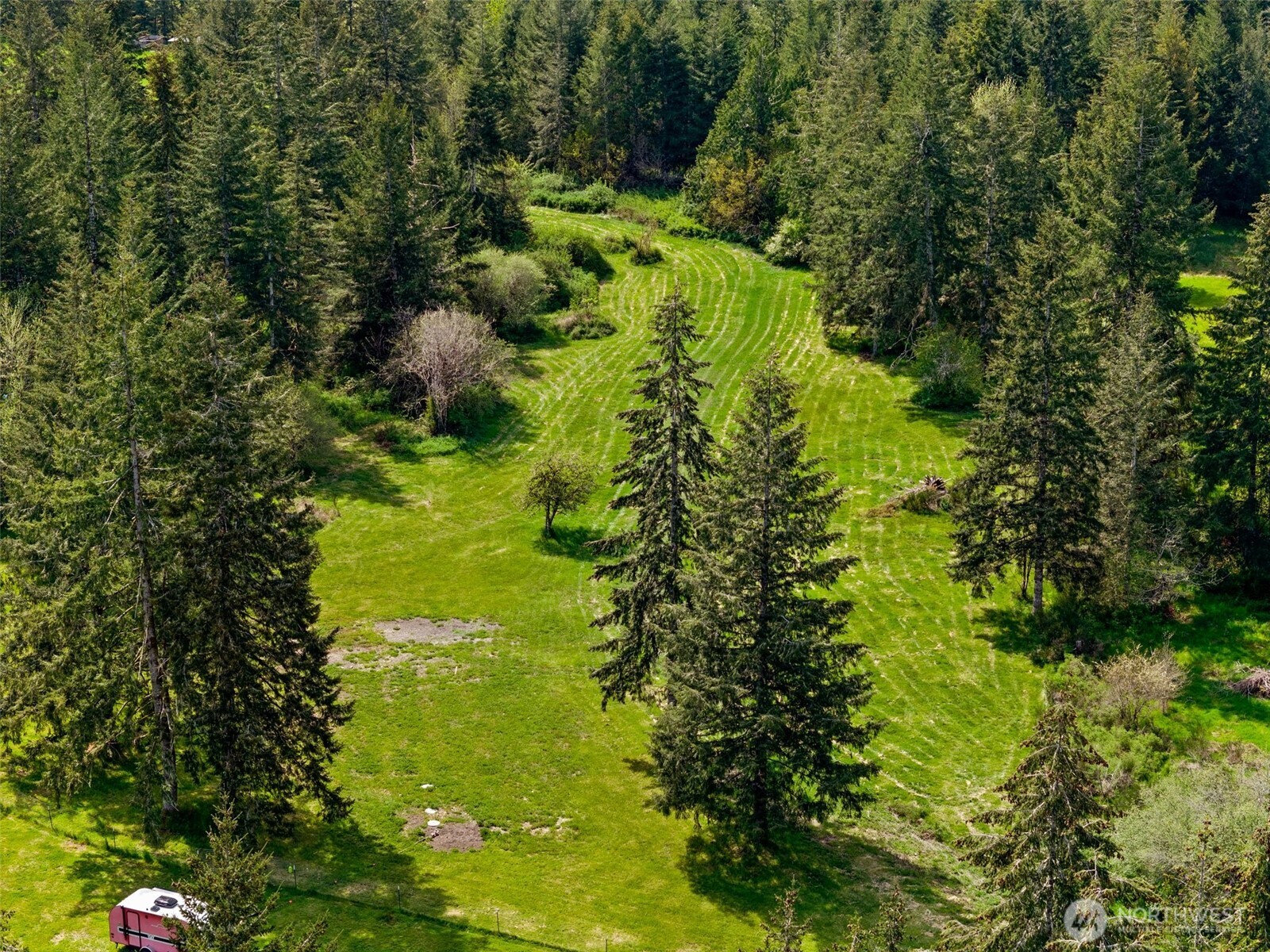 1982 West Ford Loop Road Elma, WA 98541 - Photo 15 of 15 a view of a garden