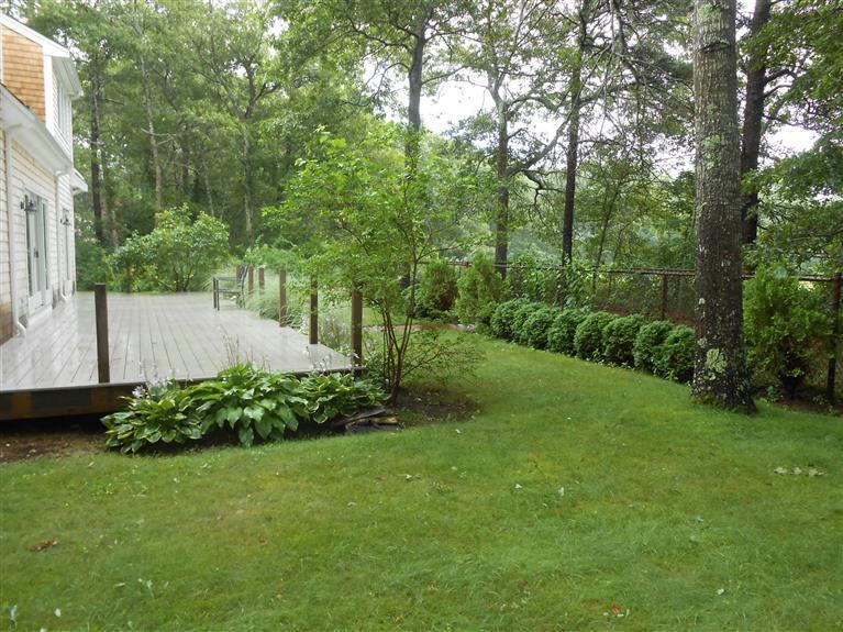 9 Bunker Circle Sandwich, MA 02563 - Photo 18 of 19 a view of a garden with plants and large trees