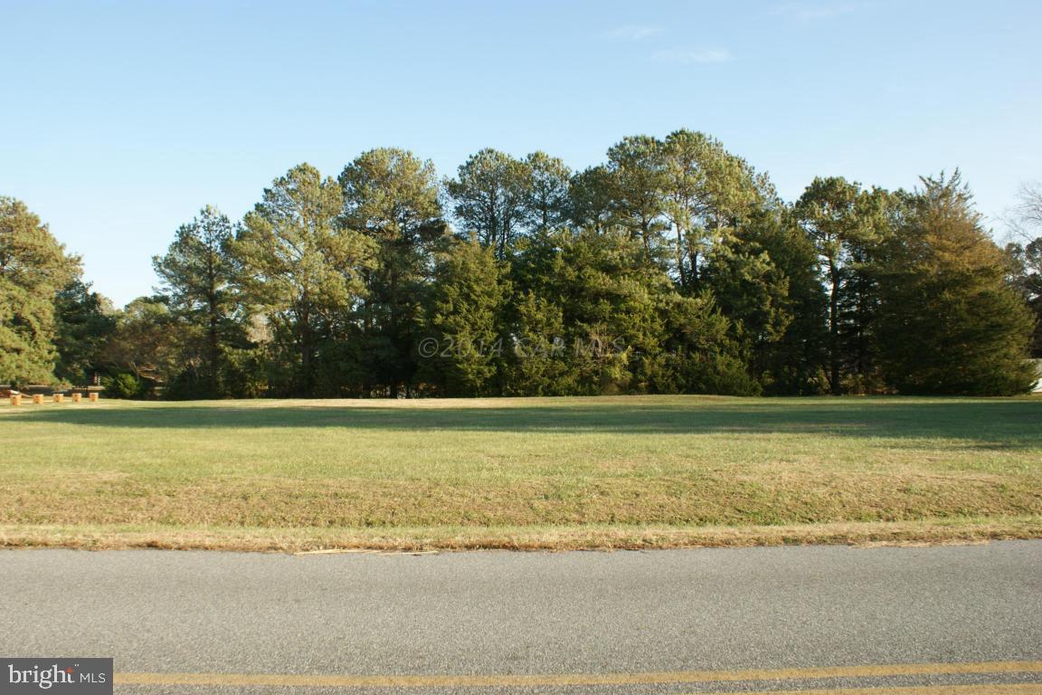 Bayside Road Snow Hill, MD 21863 - Photo 5 of 20 Gallery Image 5