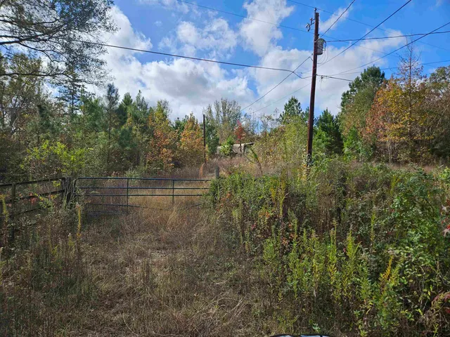 a view of a water pond with green space