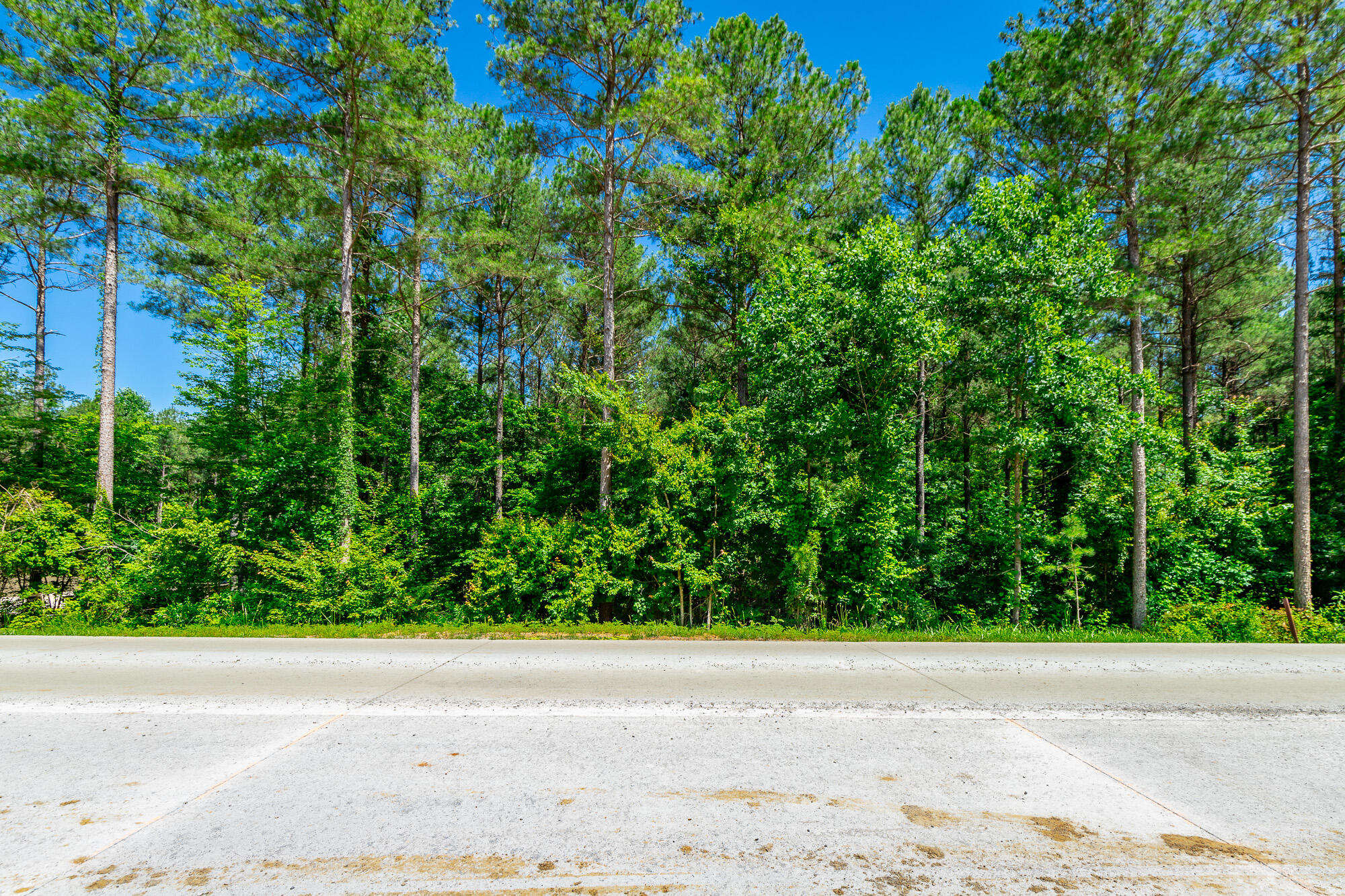 0 Split Rail Way, Unit LOT 1121 Guild, TN 37340 - Photo 12 of 103 River Gorge Lot 1121 HD-7