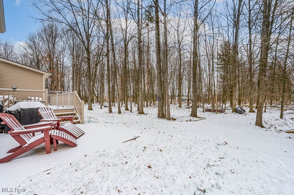 6580 Abbey Road North Canfield, OH 44406 - Photo 27 of 32 Yard covered in snow featuring a deck