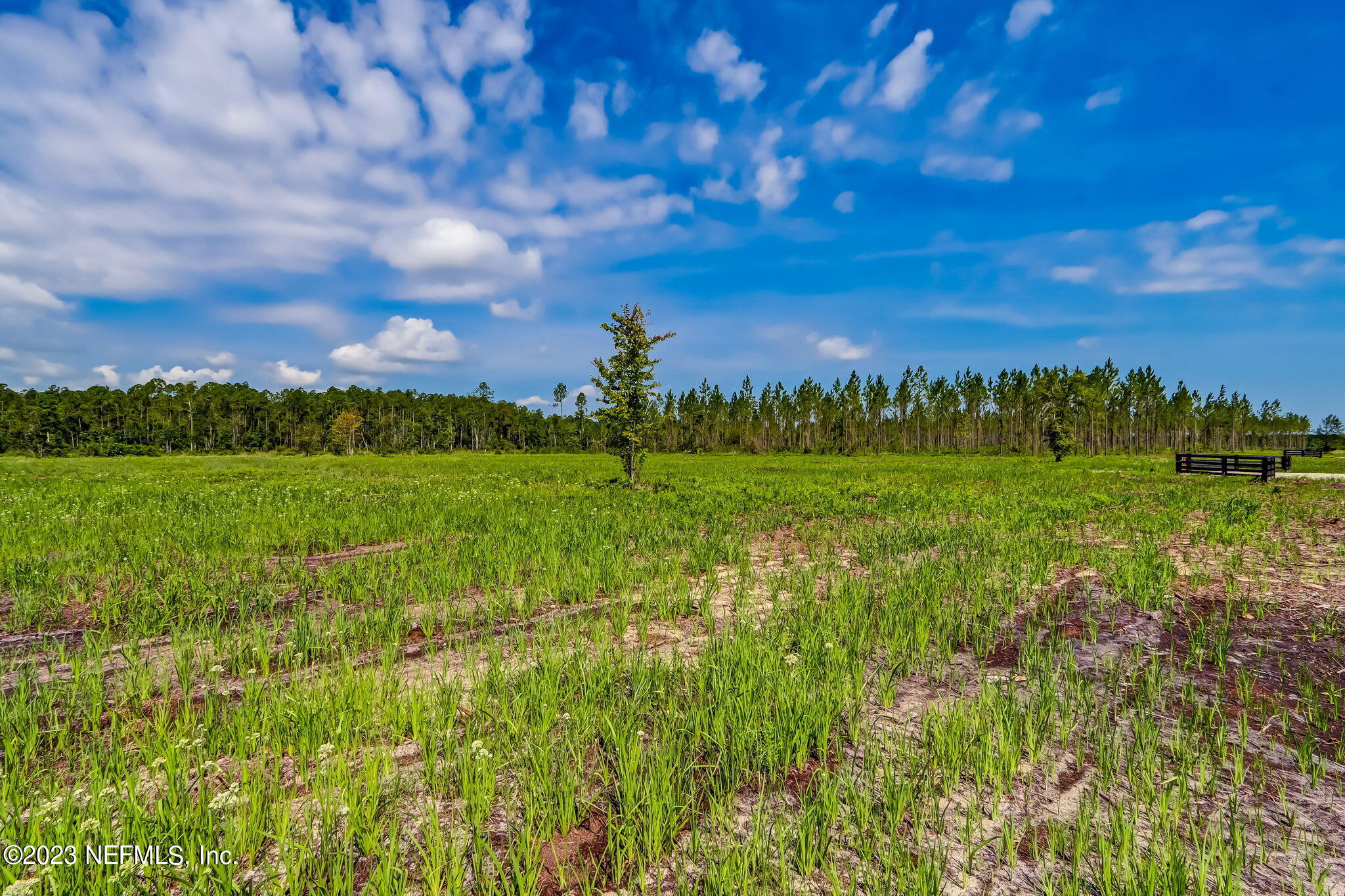 Lot 2 Georgia Street Hilliard, FL 32046 - Photo 6 of 13 18-web-or-mls-5_Bay Farms Lot 2