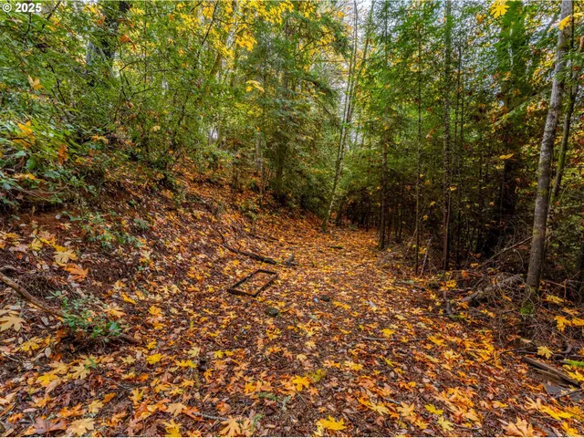 $49,000 | 487 Montgomery Avenue, Glendale, OR 97442