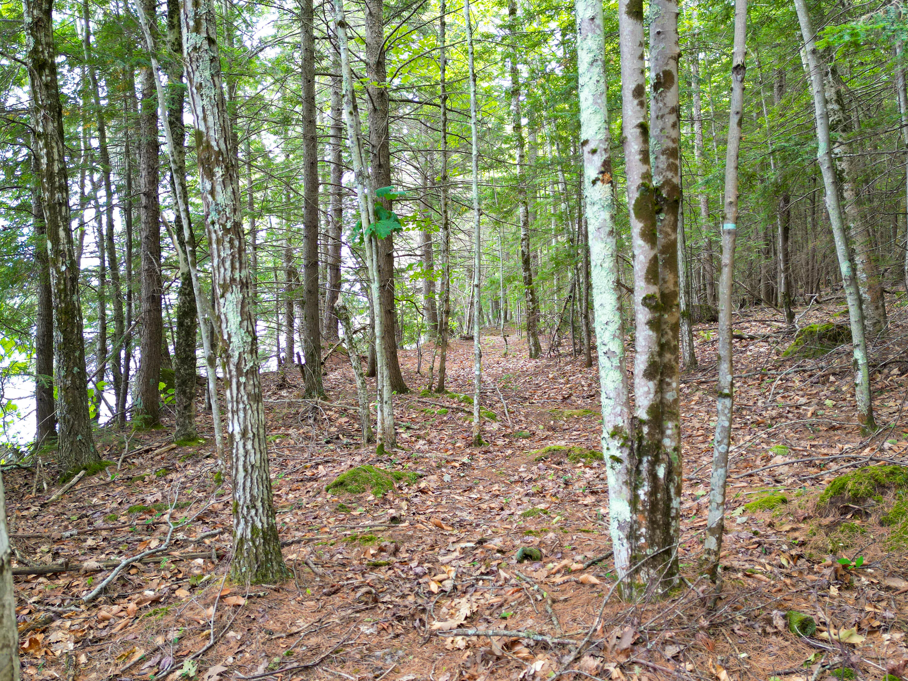 0 Osprey Point Belgrade, ME 04917 - Photo 15 of 23 110181gr-108