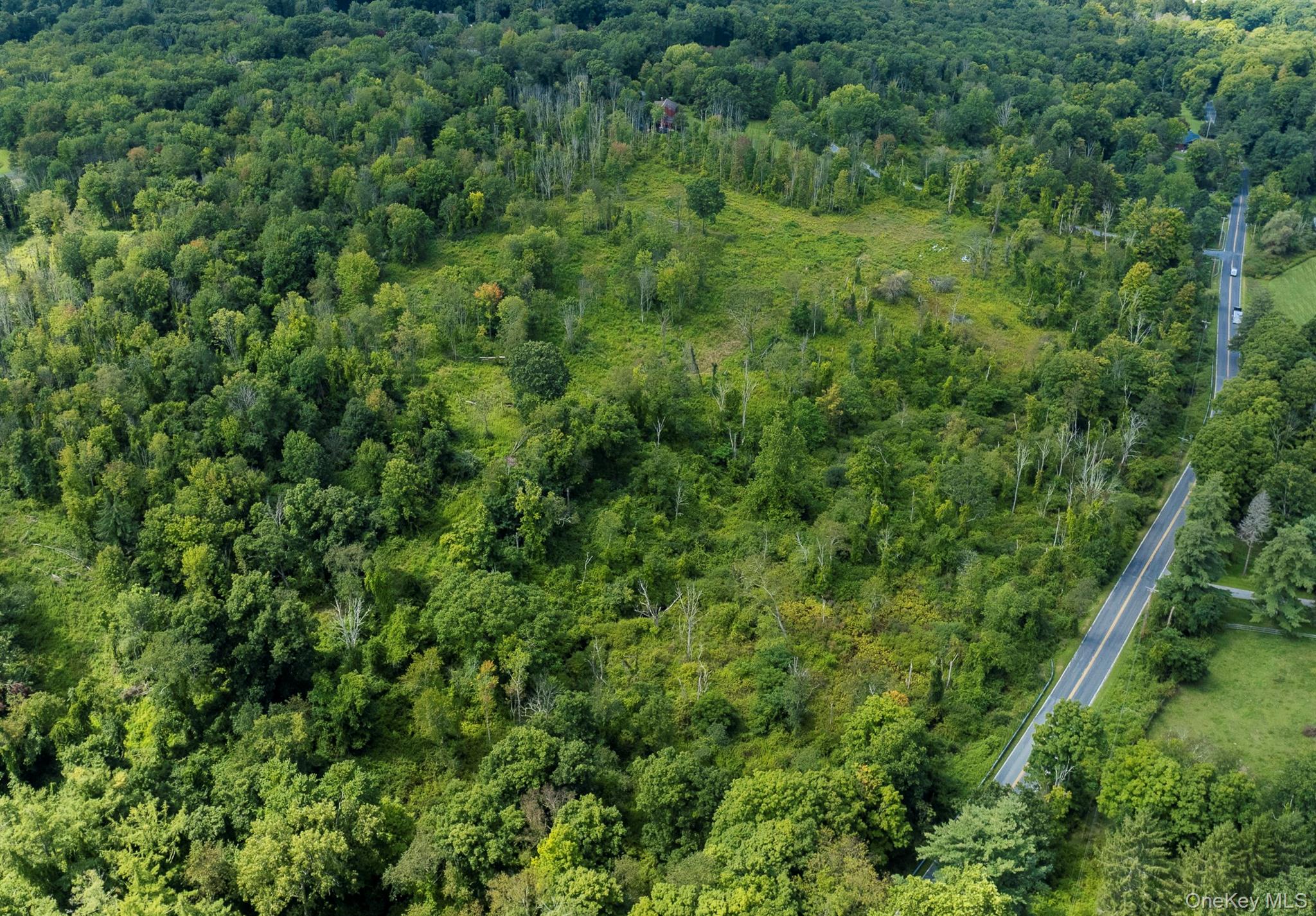 Camby Road Millbrook, NY 12545 - Photo 9 of 30 Gallery Image 9