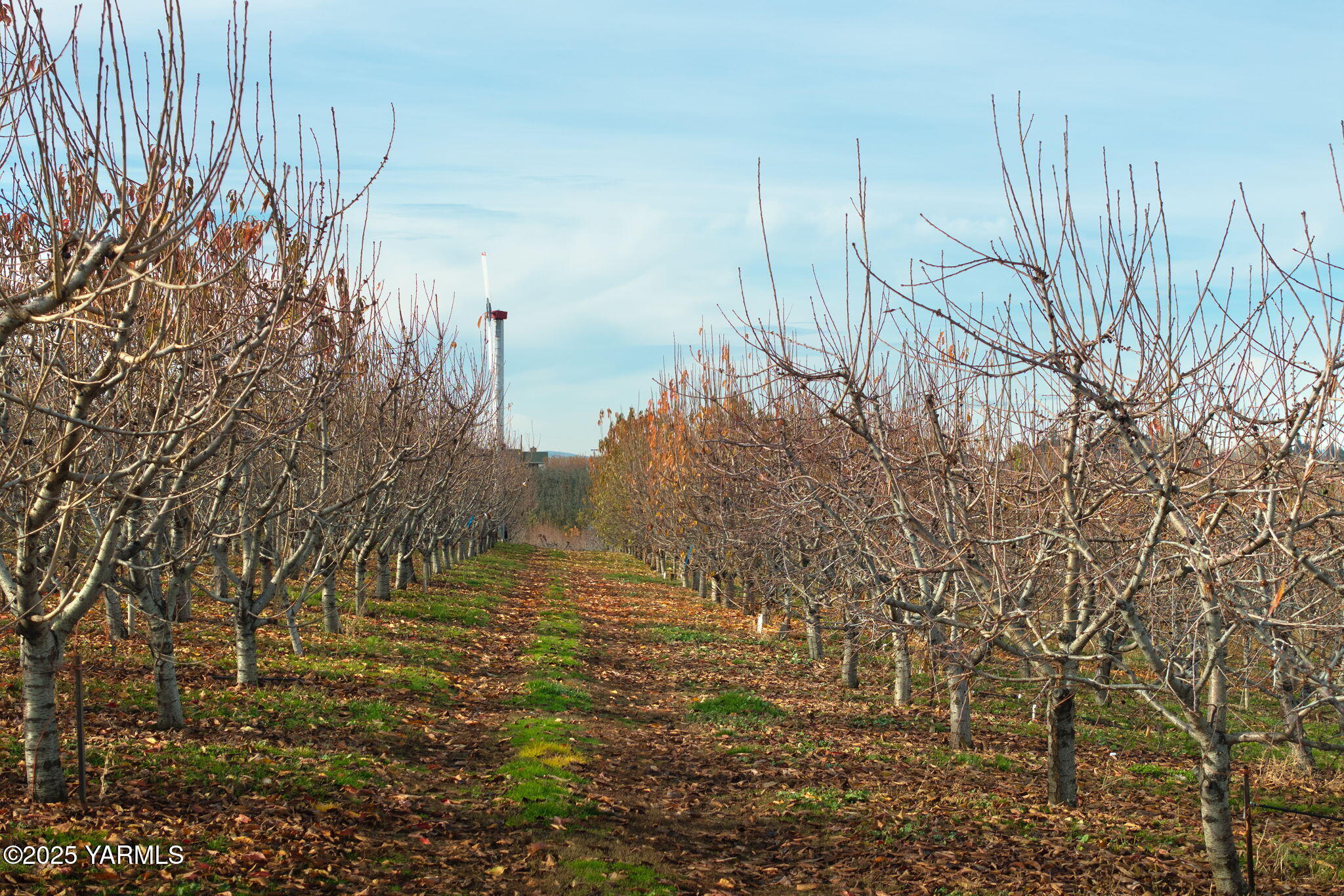 Nka Green Ridge Drive Yakima, WA 98908 - Photo 11 of 14 a view of lake