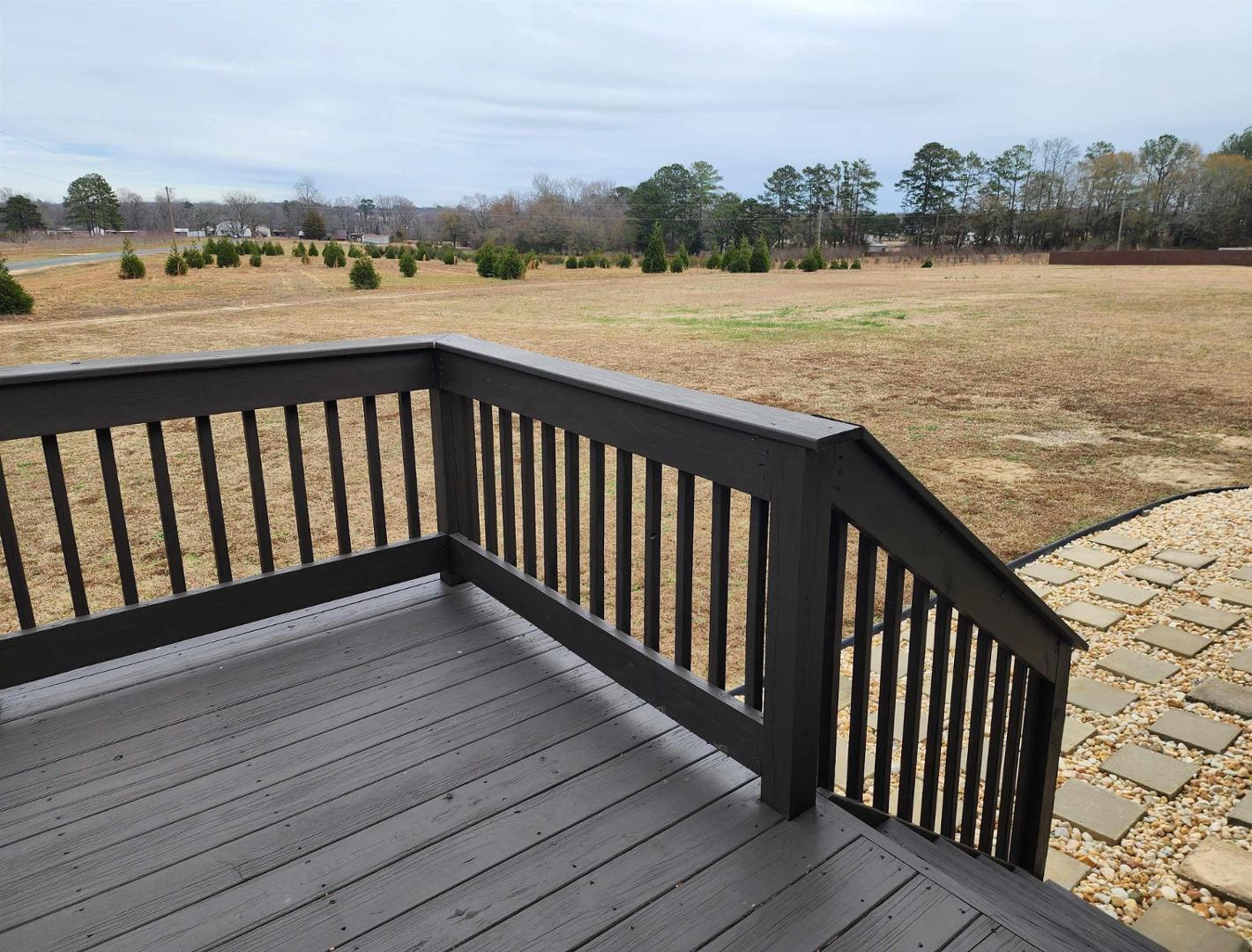 21 Hunters Point Court Angier, NC 27501 - Photo 11 of 13 Photo #11