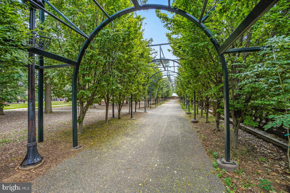 1954 Columbia Road Northwest, Unit 308 Washington, DC 20009 - Photo 31 of 51 a view of a forest with trees