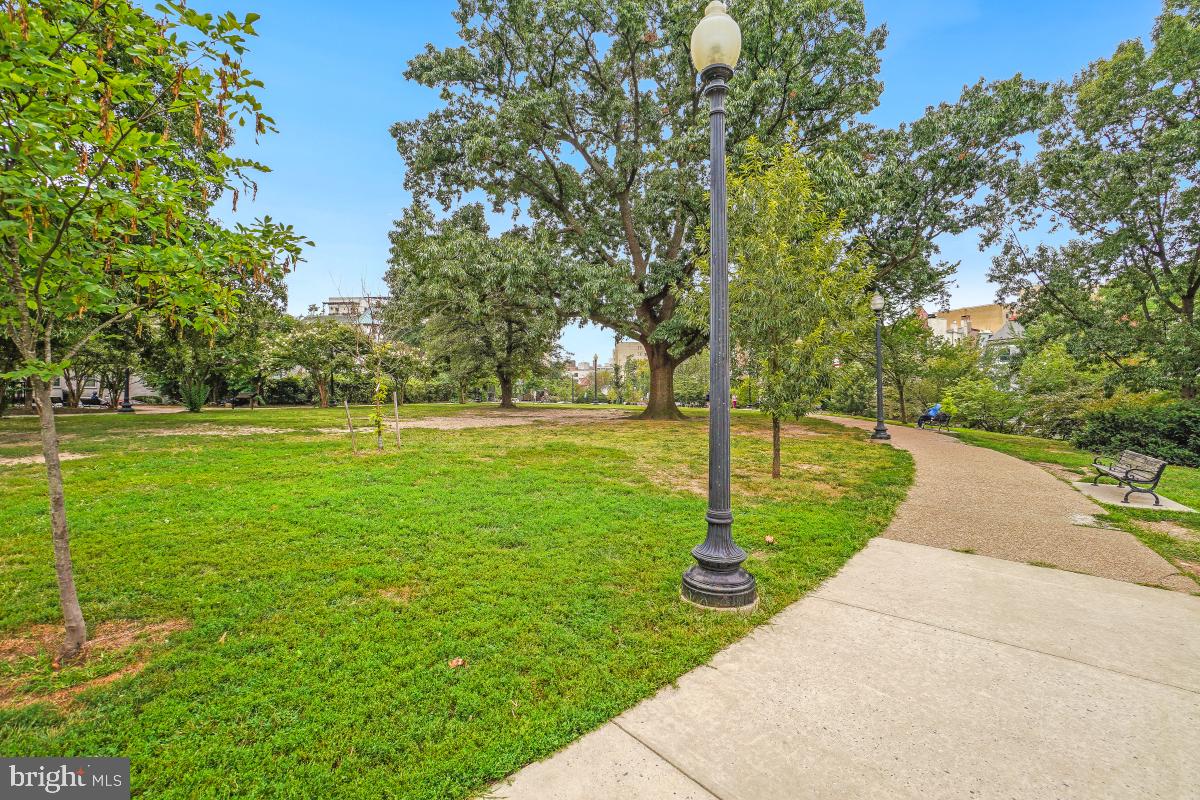1954 Columbia Road Northwest, Unit 308 Washington, DC 20009 - Photo 50 of 51 a view of a park with large trees