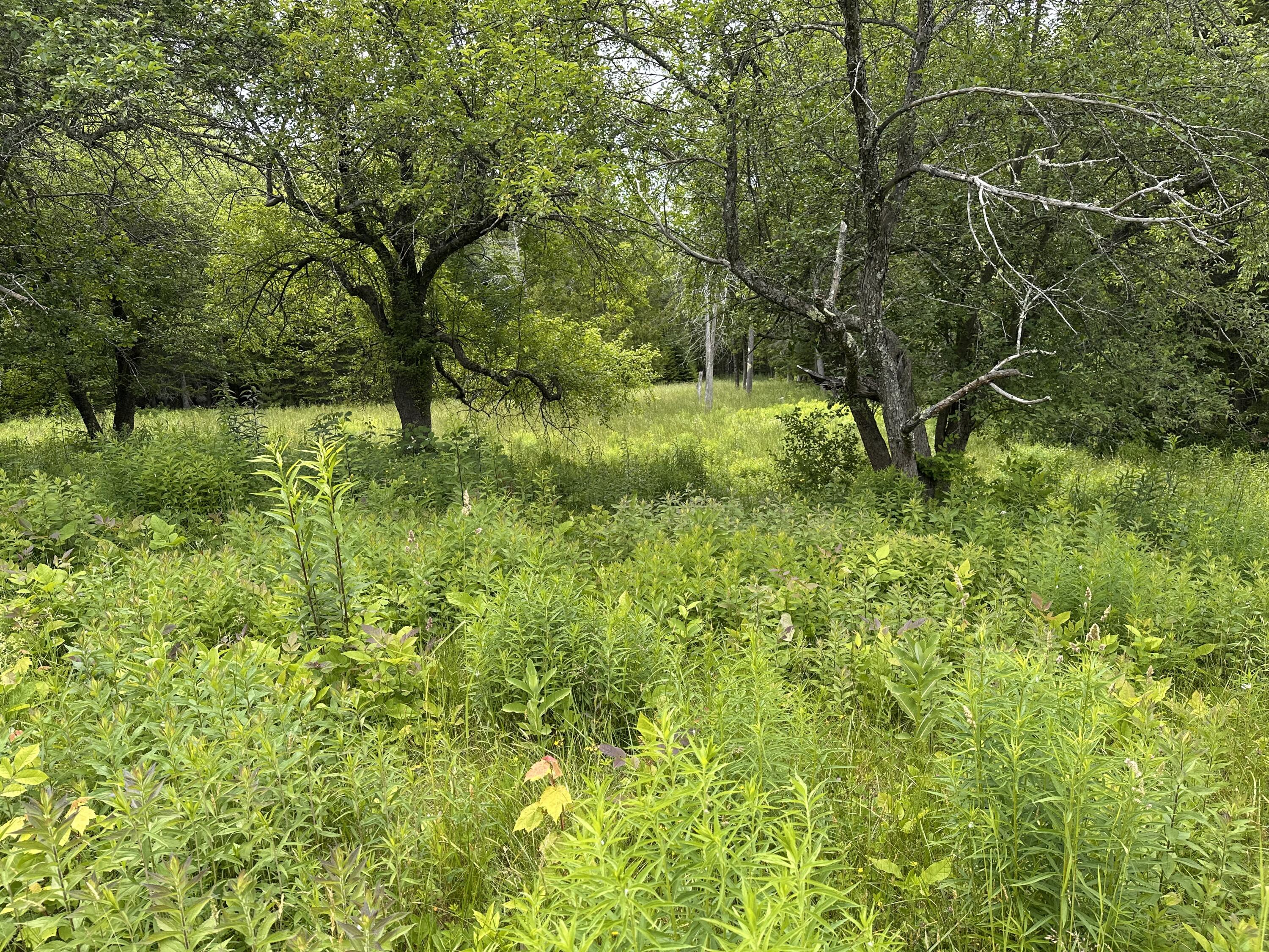 1184 Peabody Road Appleton, ME 04862 - Photo 20 of 23 IMG_7128