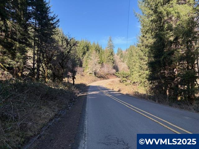 0 Logsden Road Blodgett, OR 97326 - Photo 12 of 24