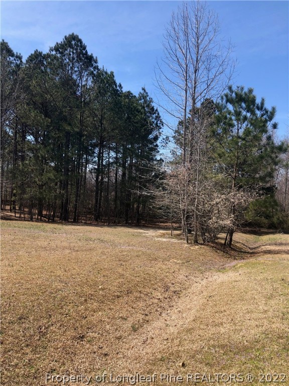 60-80 County Springs Road Bunnlevel, NC 28323 - Photo 2 of 6 Gallery Image 2
