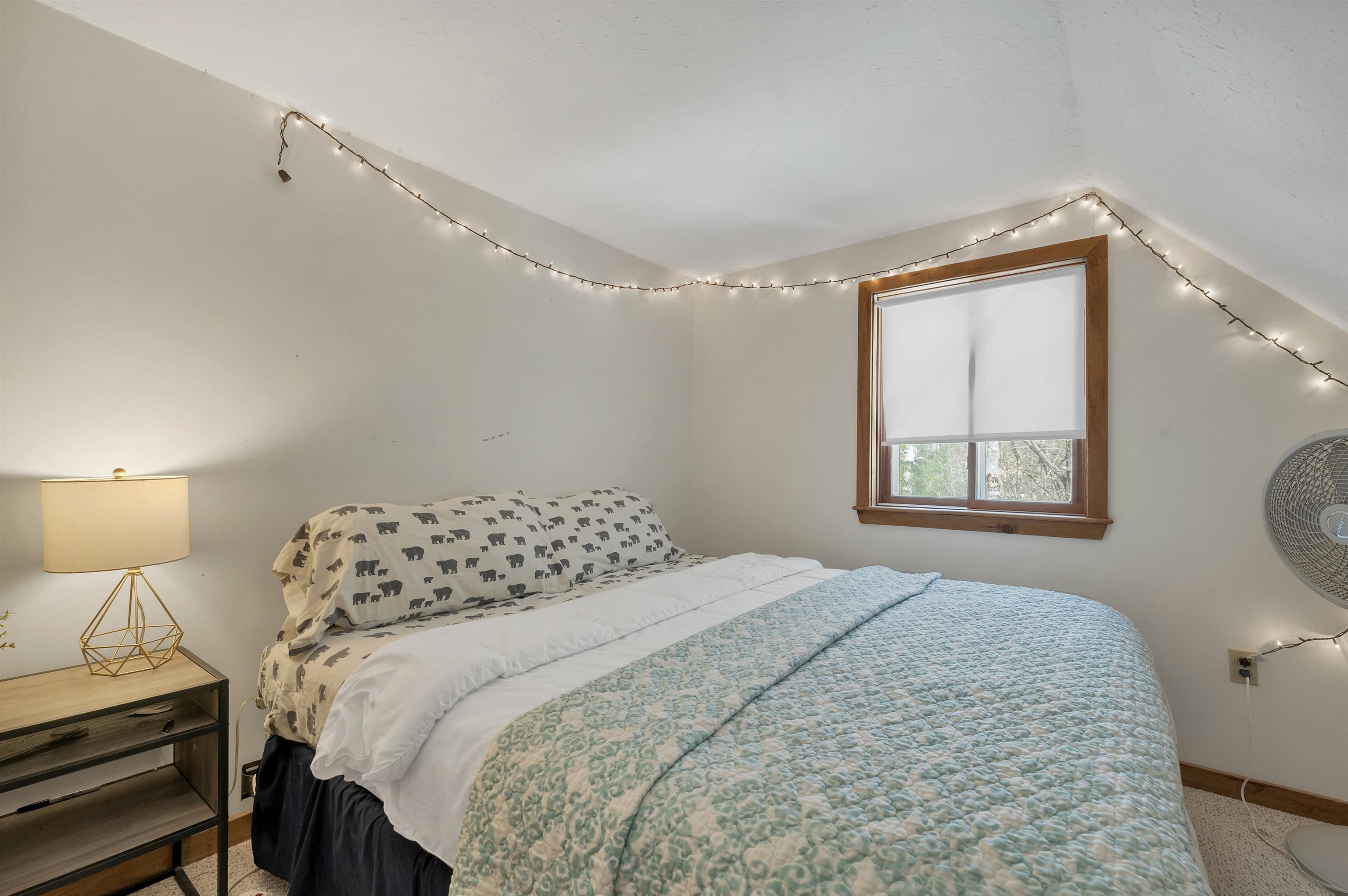 31 Crawford Hills Road, Unit 31 Bartlett, NH 03812 - Photo 26 of 54