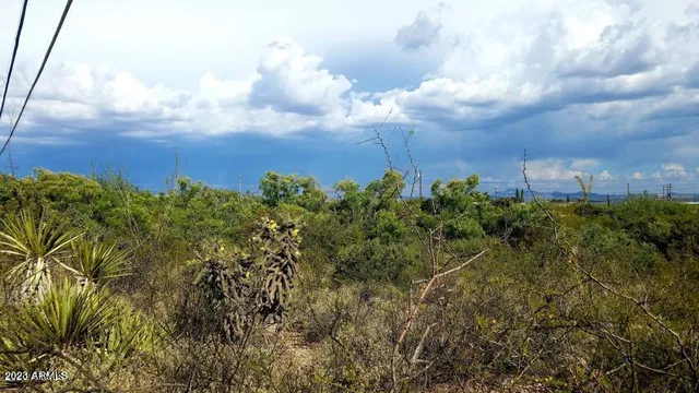 a view of a green field