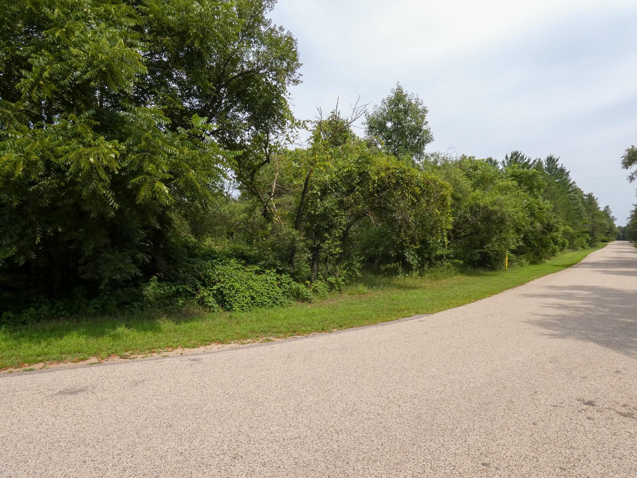 Lot 1 Whispering Pines Road Lone Rock, WI 53556 - Photo 6 of 8