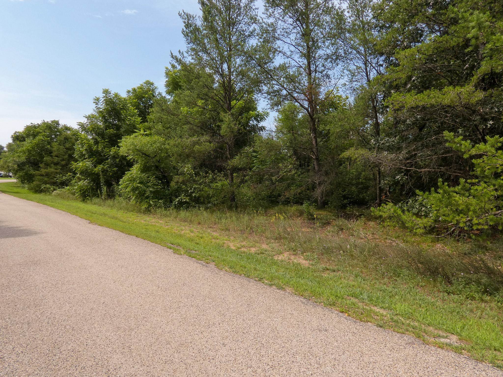 Lot 1 Whispering Pines Road Lone Rock, WI 53556 - Photo 7 of 8