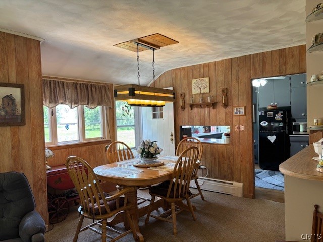 593 Shackelton Point Road Sullivan, NY 13030 - Photo 10 of 38