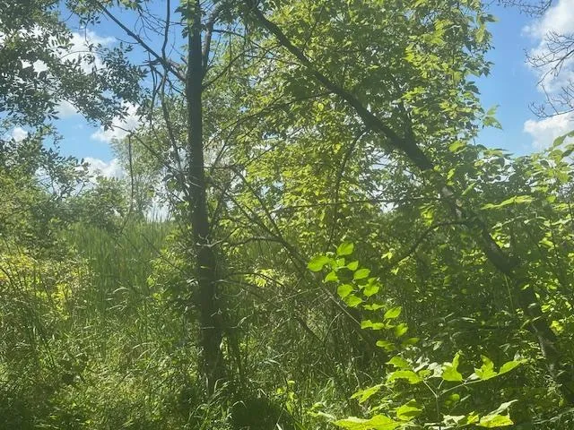 $119,900 | 26596 Drew Avenue, Elko New Market, MN 55020