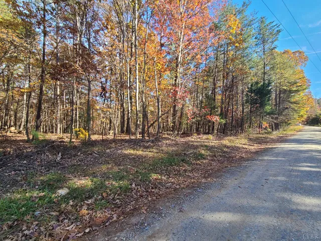 a view of dirt yard with a large tree
