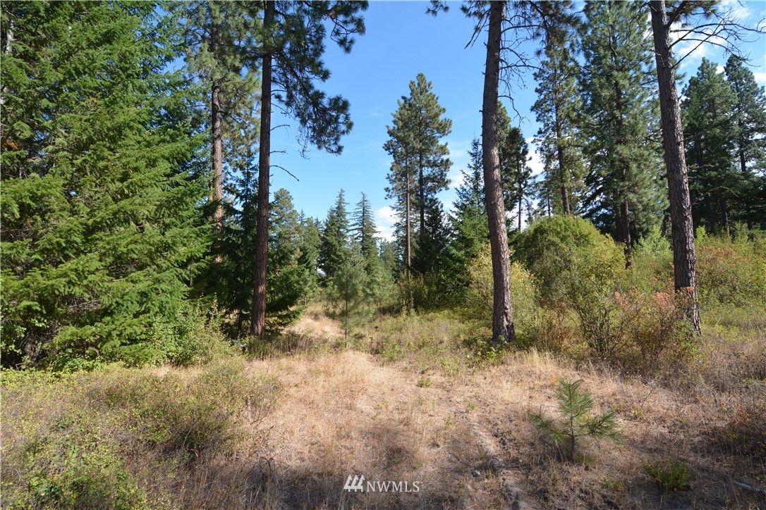 6051 Upper Peoh Point Road Cle Elum, WA 98922 - Photo 1 of 22 Gallery Image 1