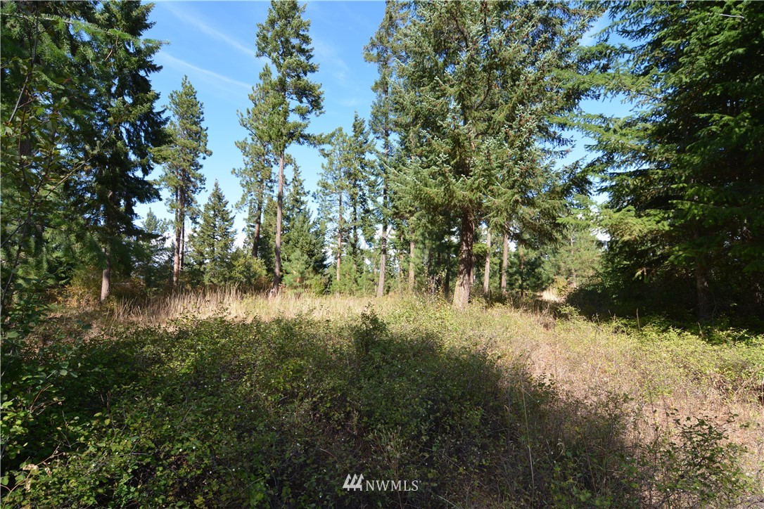 6051 Upper Peoh Point Road Cle Elum, WA 98922 - Photo 11 of 22 Gallery Image 11