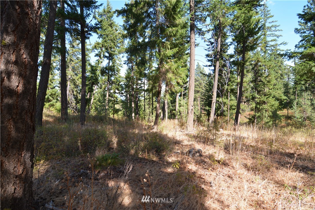 6051 Upper Peoh Point Road Cle Elum, WA 98922 - Photo 13 of 22 Gallery Image 13