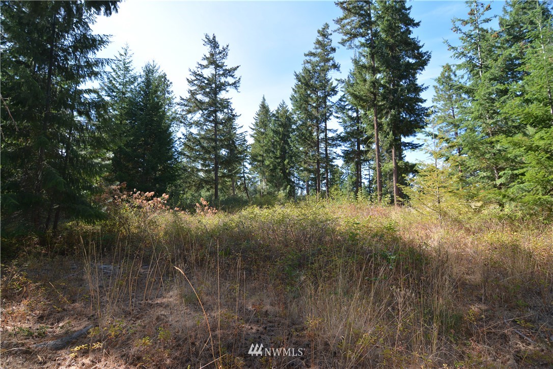 6051 Upper Peoh Point Road Cle Elum, WA 98922 - Photo 14 of 22 Gallery Image 14