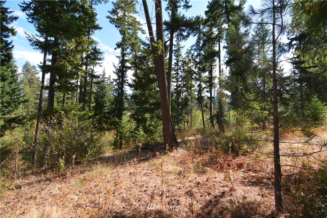 6051 Upper Peoh Point Road Cle Elum, WA 98922 - Photo 17 of 22 Gallery Image 17