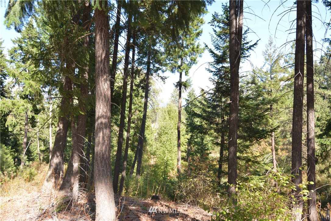 6051 Upper Peoh Point Road Cle Elum, WA 98922 - Photo 18 of 22 Gallery Image 18