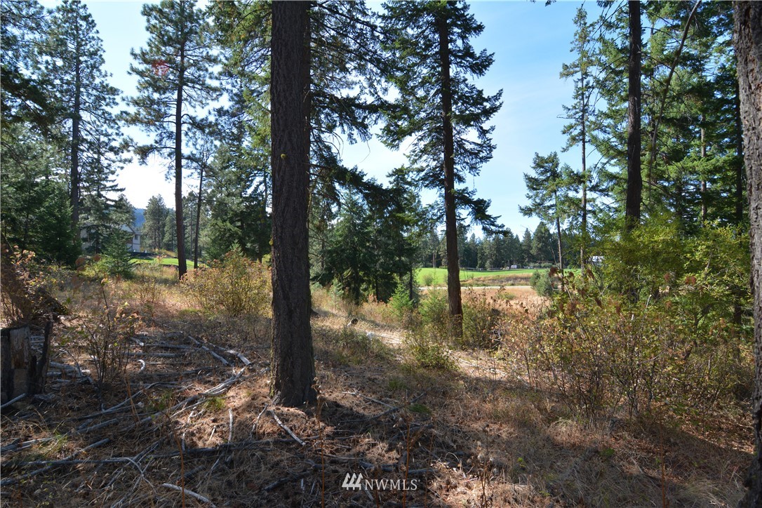 6051 Upper Peoh Point Road Cle Elum, WA 98922 - Photo 20 of 22 Gallery Image 20