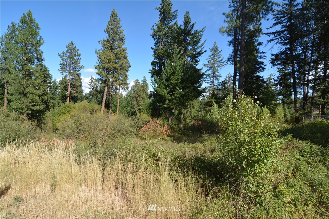 6051 Upper Peoh Point Road Cle Elum, WA 98922 - Photo 3 of 22 Gallery Image 3