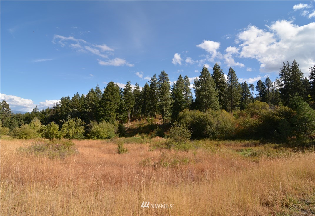 6051 Upper Peoh Point Road Cle Elum, WA 98922 - Photo 21 of 22 Gallery Image 21