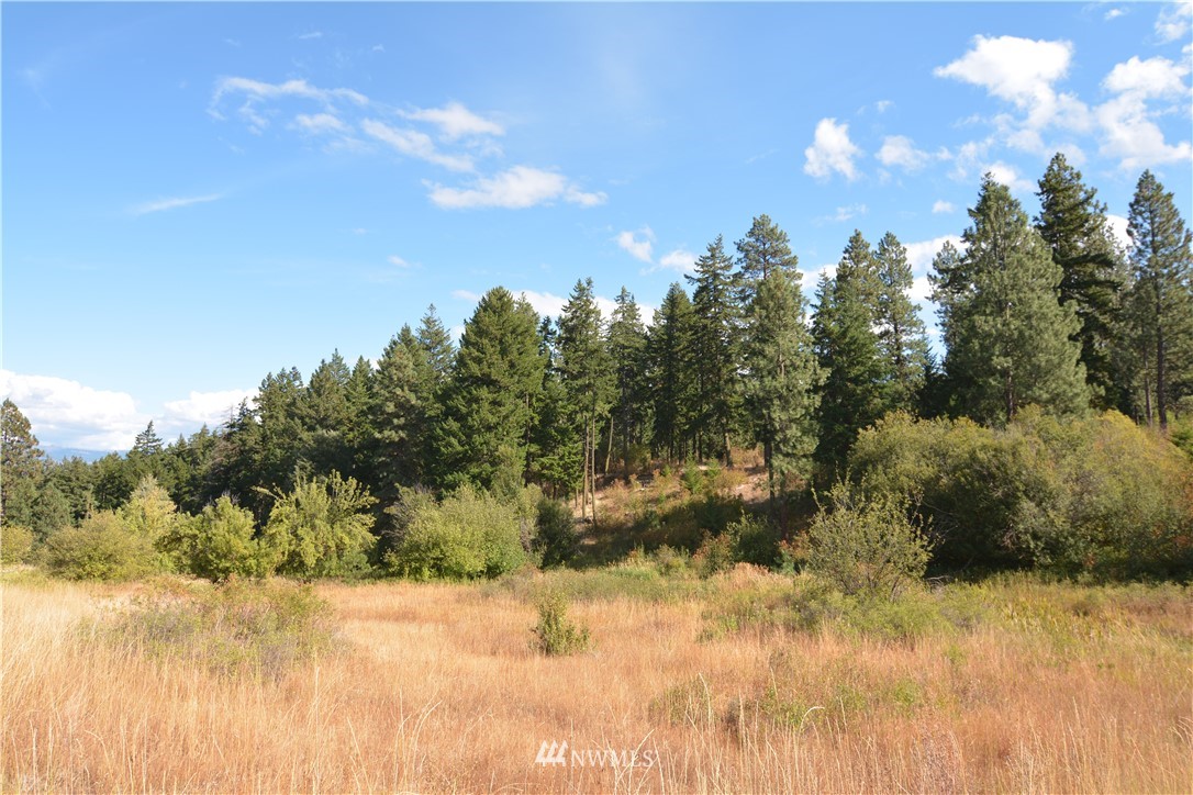 6051 Upper Peoh Point Road Cle Elum, WA 98922 - Photo 22 of 22 Gallery Image 22
